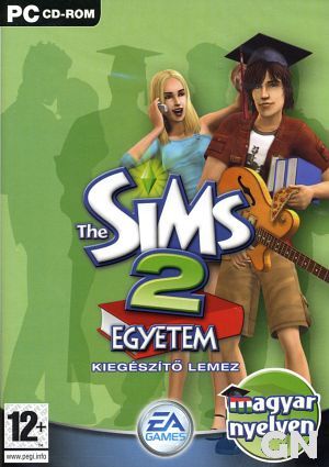 the_sims_2_egyetem.jpg